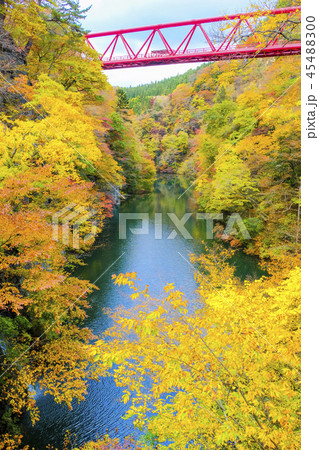 紅葉の赤谷峡と赤い橋(縦) 紅葉の赤谷峡と赤い橋(縦) 45488300