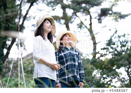 農業　農家　生産者　収穫　野菜 45488367