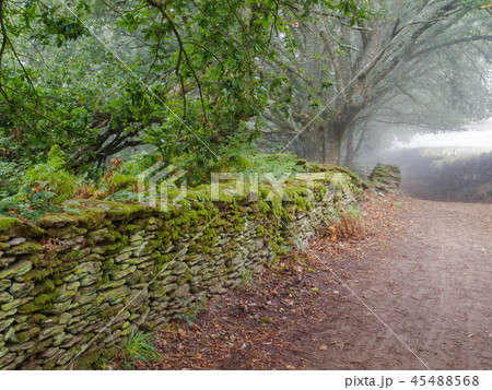 Dry-stone wall - Ferreiros 45488568