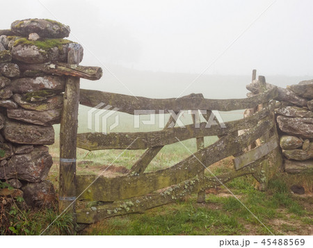 Old wooden farm gate - Barbadelo 45488569