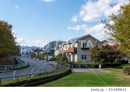 森林公園近くの新しい住宅街 森林公園近くの新しい住宅街 45488642