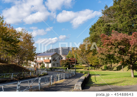 森林公園近くの新しい住宅街 森林公園近くの新しい住宅街 45488643