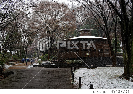 横浜・港北ニュータウンの雪景色 45488731