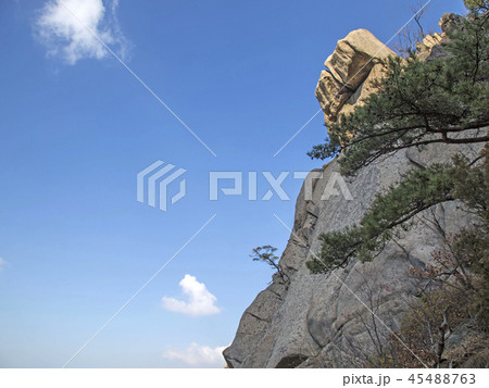 北朝鮮産 風景 晩秋 45488763