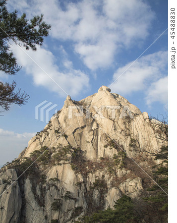 北朝鮮産 風景 晩秋 45488830