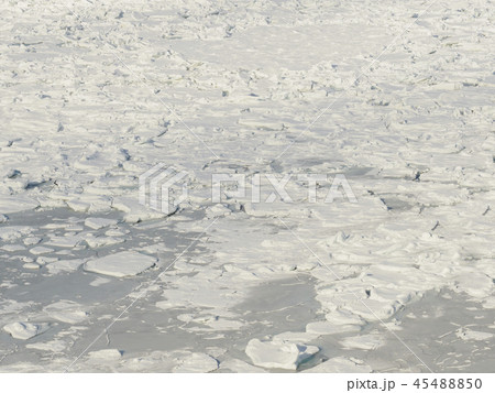 一面の流氷に埋め尽くされた海 一面の流氷に埋め尽くされた海 45488850