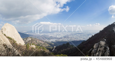 北朝鮮産 風景 晩秋 45488960