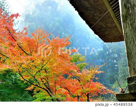 平泉の朝 PART1 平泉の朝 PART1 45489538