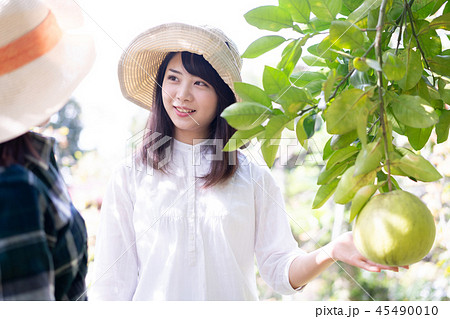 農業　農家　生産者　旅行　観光 45490010