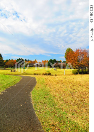 秋の公園の風景4 秋の公園の風景4 45490838