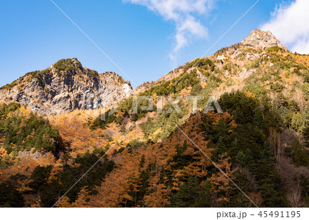 秋の上高地明神岳の紅葉 45491195