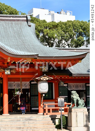 生田神社 45491242