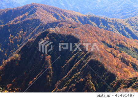 東北　飯豊山山頂への道　秋　目に染む紅葉 45491497