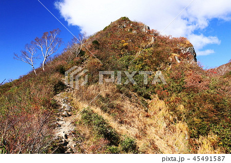東北飯豊連峰 飯豊山山頂への道 秋 ダケカンバのある風景 東北飯豊連峰 飯豊山山頂への道 秋 ダケカンバのある風景 45491587