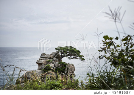 海 岩 石 45491687