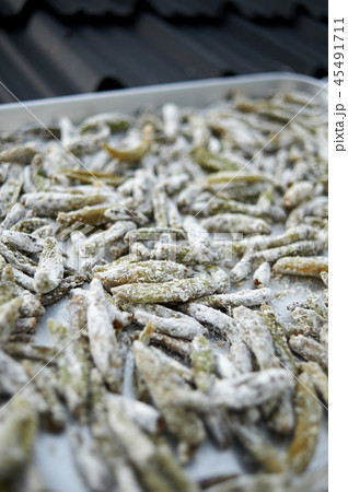 トィガク 食べ物 フード 45491711