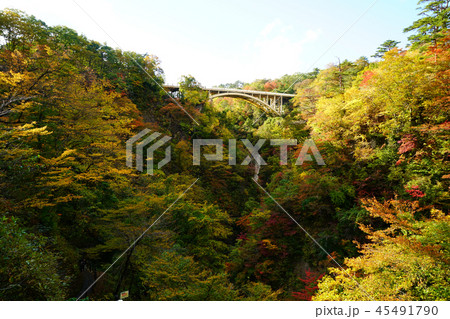 鳴子峡　紅葉　宮城県 45491790