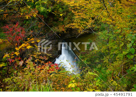 鳴子峡　紅葉　宮城県 45491791