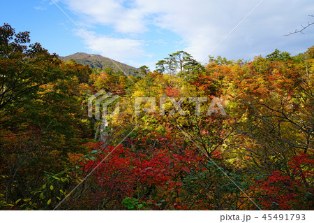 鳴子峡　紅葉　宮城県 45491793