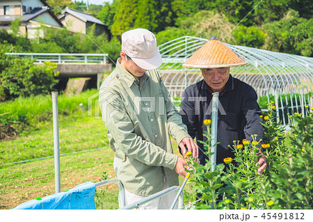 花卉栽培　農業　男性 45491812