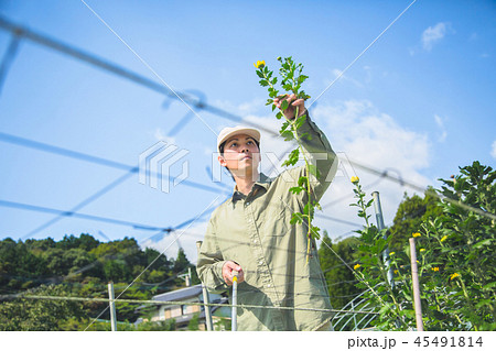 花卉栽培　農業　男性 45491814