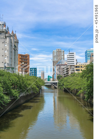 目黒川春夏秋冬　太鼓橋からの眺め　夏 45491968