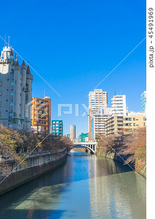 目黒川春夏秋冬　太鼓橋からの眺め　秋 45491969