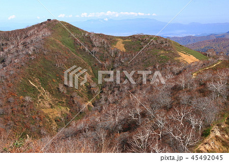 東北飯豊連峰 飯豊山山頂への道 秋 ダケカンバと三国小屋遠景 東北飯豊連峰 飯豊山山頂への道 秋 ダケカンバと三国小屋遠景 45492045