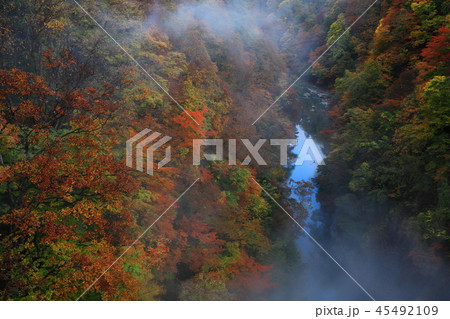 紅葉の小安峡 45492109
