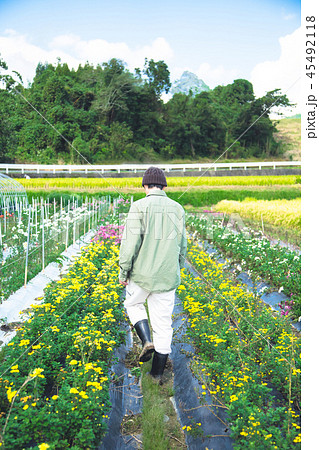 花卉栽培　農業　男性 45492118