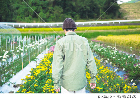 花卉栽培　農業　男性 45492120