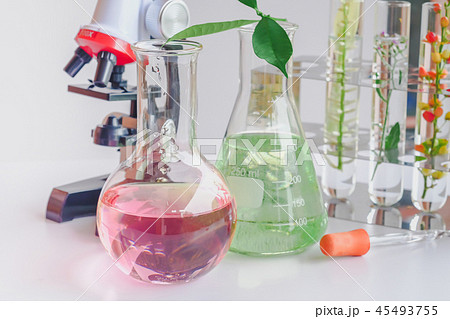microscope and small plant in test tube  45493755