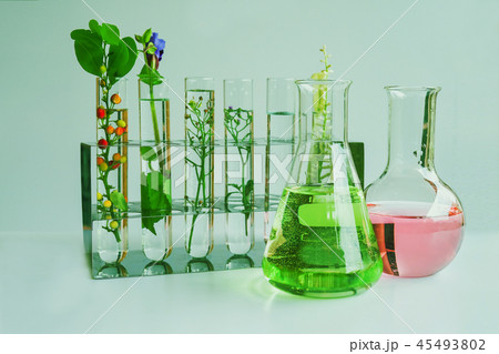 Small plants in test tube for biotechnology 45493802