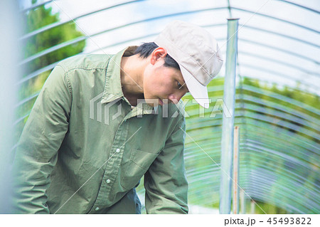 農業　男性 45493822
