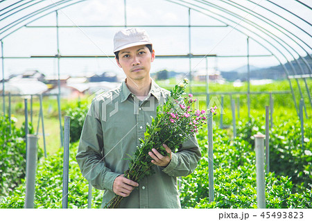 花卉栽培 農業 男性 花卉栽培 農業 男性 45493823