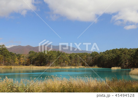 五色沼 (裏磐梯) の 弁天沼 45494528