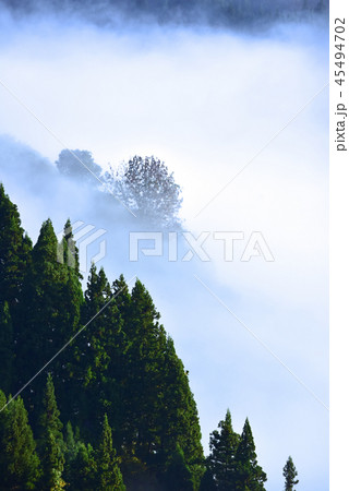 雲海と霧模様と里山 45494702