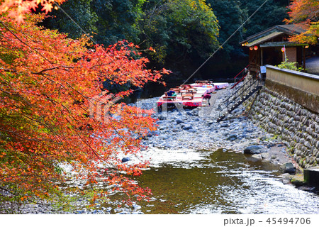 京都神護寺 京都神護寺 45494706