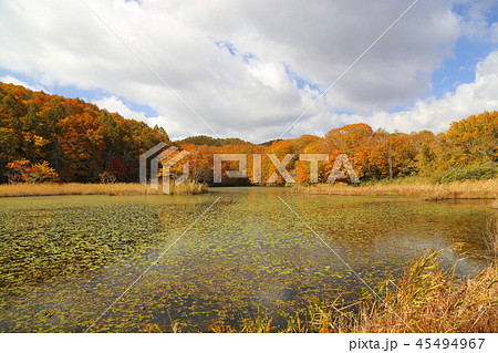 桧原湖西側周辺の紅葉風景【福島県北塩原村】 桧原湖西側周辺の紅葉風景【福島県北塩原村】 45494967