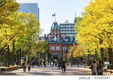 【北海道】札幌市旧北海道庁赤レンガ庁舎 【北海道】札幌市旧北海道庁赤レンガ庁舎 45495847