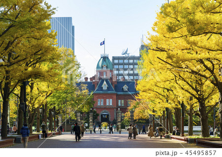 秋の旧北海道庁赤レンガ庁舎 45495857
