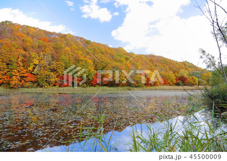 大沢沼 【福島県北塩原村】 大沢沼 【福島県北塩原村】 45500009