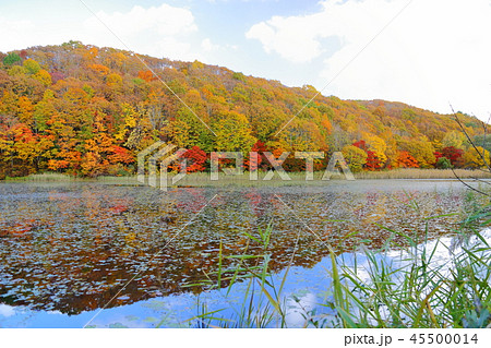 大沢沼 【福島県北塩原村】 45500014