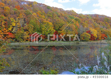 大沢沼 【福島県北塩原村】 大沢沼 【福島県北塩原村】 45500018