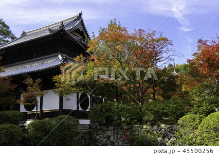 紅葉の井山宝福寺 45500256