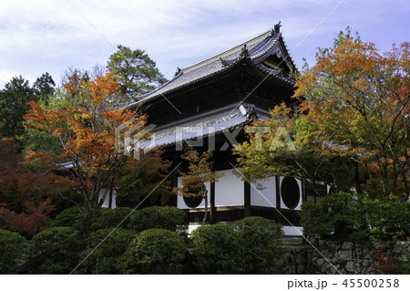 紅葉の井山宝福寺 紅葉の井山宝福寺 45500258