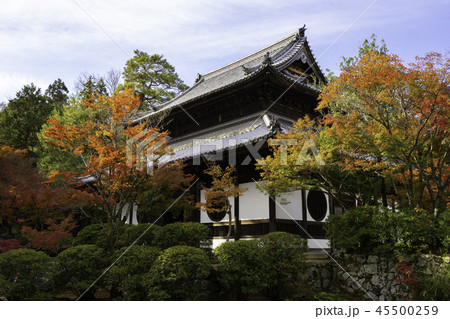 紅葉の井山宝福寺 45500259