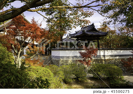 紅葉の井山宝福寺 紅葉の井山宝福寺 45500275