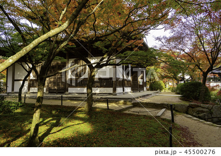 紅葉の井山宝福寺 紅葉の井山宝福寺 45500276