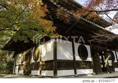 紅葉の井山宝福寺 紅葉の井山宝福寺 45500277